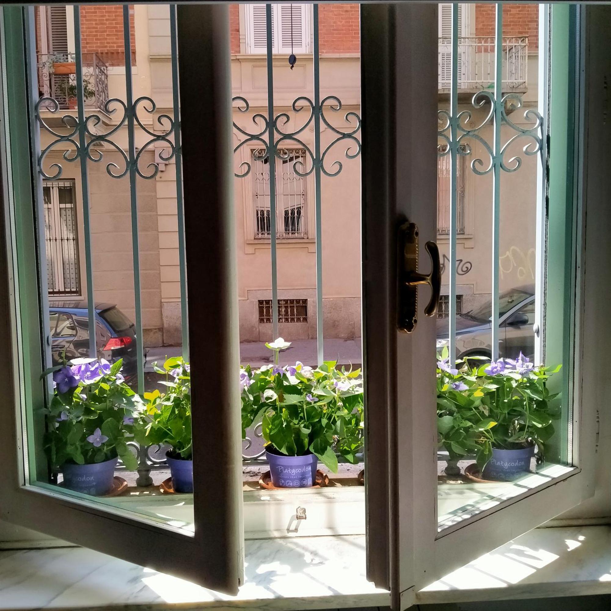 La Graziosa Torino, Porta Susa Exterior foto